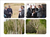 مسیر زیباسازی سهند