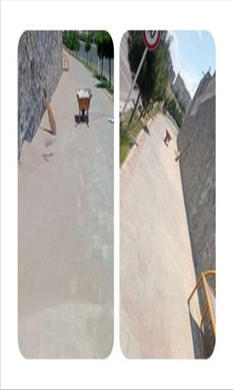 پاکسازی
