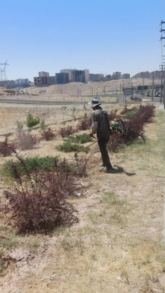 فضای سبز